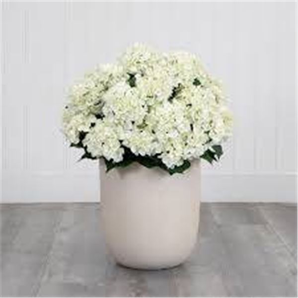 Nearly Natural Real Touch Hydrangea Floor Plant with Vase