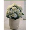 Image 3 : Nearly Natural Real Touch Hydrangea Floor Plant with Vase