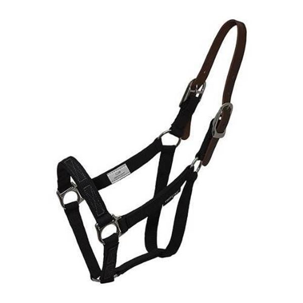 Large Burlingham Air Mesh Horse Halter with Adjustable Straps