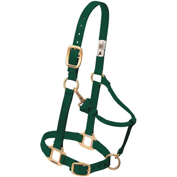 Weaver Ultimate Adjustable Small Horse Halter, Green Nylon