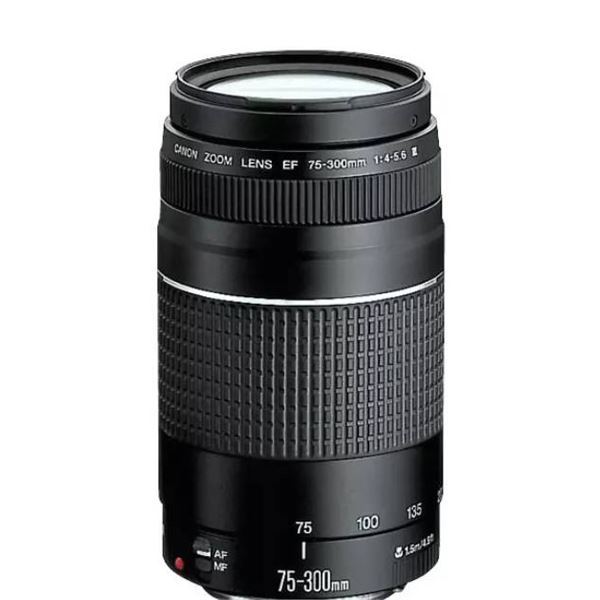 Canon EF 75-300mm f/4-5.6 III Telephoto Zoom Lens