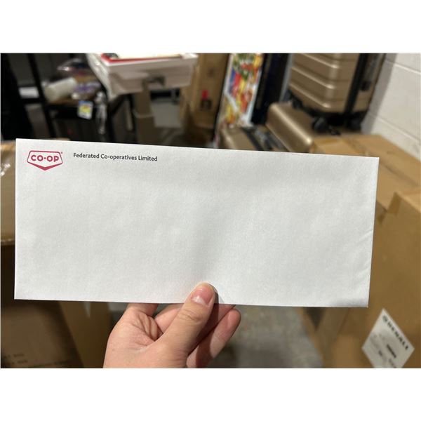 #10 4 1/8 x 9 1/2 White Wove Artlined Open-Side DSS Envelopes 500 Count