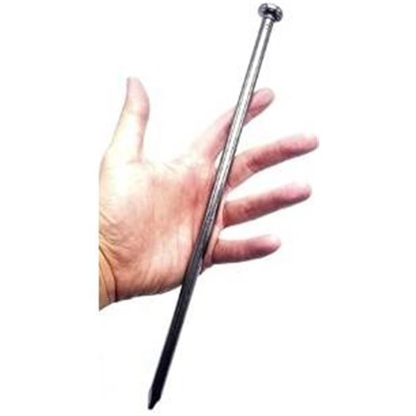 1ft Length Steel Nail Lot of 60 Units