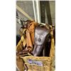 Image 2 : BASKET OF ASSORTED LEATHER GUN HOLSTERS