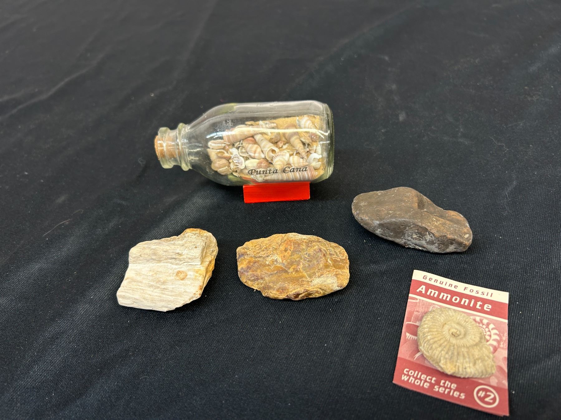 Lot of Misc Specimens, Petrified Wood, Primitive Carved Stone Hand Tool ...
