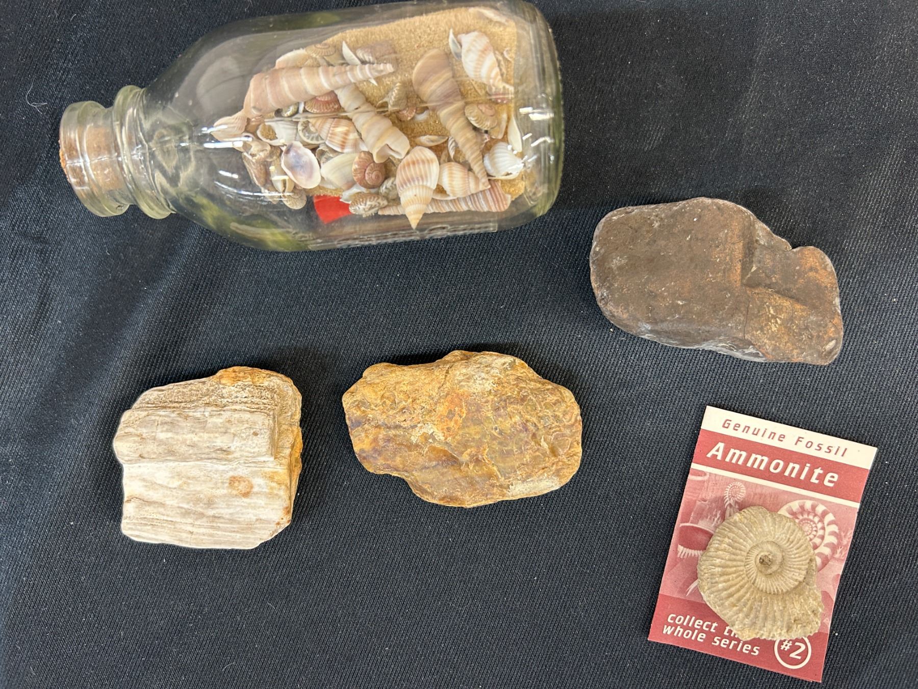 Lot of Misc Specimens, Petrified Wood, Primitive Carved Stone Hand Tool ...