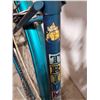 Image 3 : Triumph Cycle Co. Bicycle