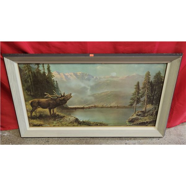 Framed Elk Print
