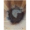 Image 2 : VTG Wooden Barrel