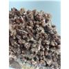 Image 6 : 10 X 8 INCH  5 KG DOG THOOT CHOCOLATE CALICTE SPECIMEN