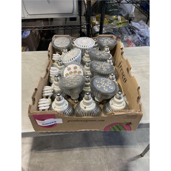 APPROX 20 PLUS LED BULBS
