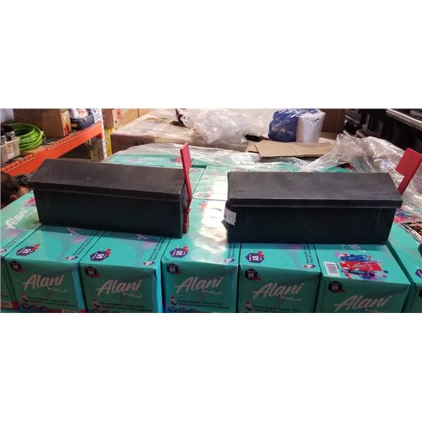 TWO METAL MAILBOXES WITH FLAGS