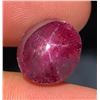Image 3 : 14.59 CT CERTIFIED BURMESE STAR RUBY GEMSTONE UNTREATED ($17,950 APPRAISAL)