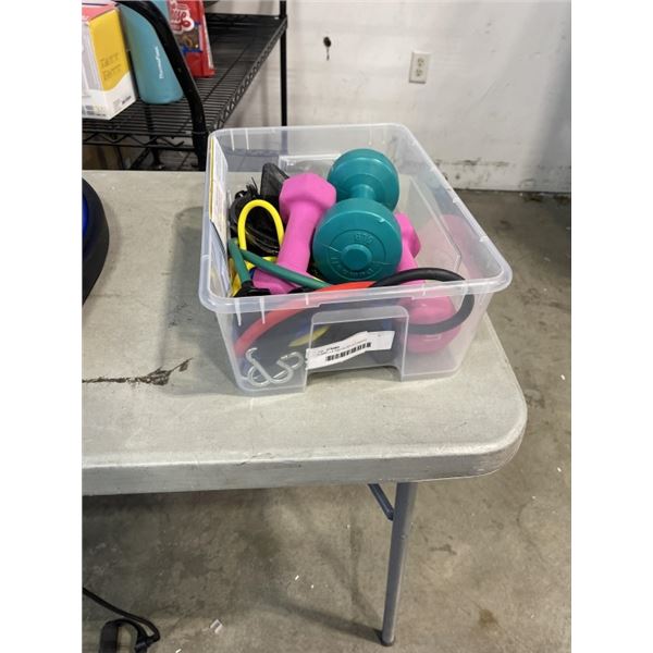 DUMBELLS AND WORKOUT BANDS