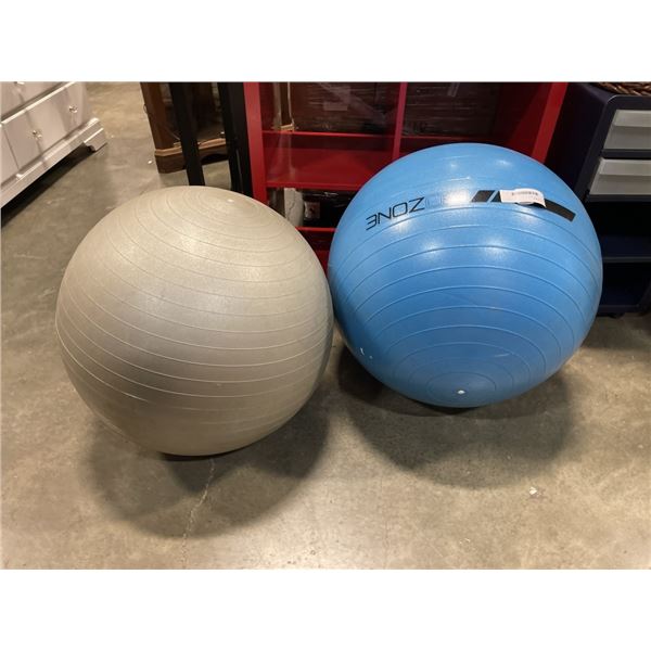 2 EXCERCISE BALLS