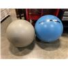 Image 1 : 2 EXCERCISE BALLS