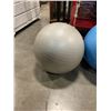 Image 2 : 2 EXCERCISE BALLS