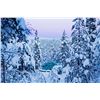 Image 3 : Winter Wonderland Escape: Igloos, Northern Lights, & Adventure