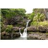 Image 2 : Maui Magic: Road to Hana & Beach Stay