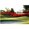 Image 3 : Tee Off in Italy: Lake Garda Adventure