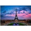 Image 1 : Paris Indulgence: Eiffel Tower Dining & Gourmet Experience