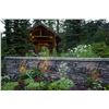 Image 2 : Meet me in Montana