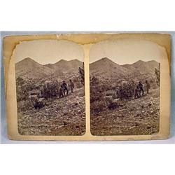 LARGE ANTIQUE PHOTO STEREOVIEW CARD OF MINERS TREN