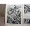 Image 4 : 1918 "THE NATIONS AT WAR" HARDCOVER BOOK - Numerou