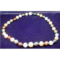 LADIES TAHITIAN SOUTH SEA PEARL NECKLACE W/ 14K WH