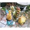 Image 1 : Roosters B