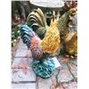 Image 2 : Roosters B