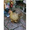 Image 3 : Roosters B