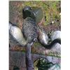 Image 5 : Outdoor Décor B