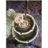 Image 3 : Bird Bath B