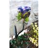 Image 4 : Outdoor Décor B