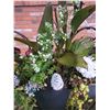 Image 4 : Outdoor Décor A