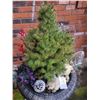 Image 5 : Urn & Outdoor Décor A