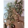 Image 1 : Faux Trees A
