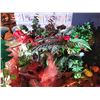 Image 5 : Faux Flowers, Vases A
