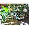 Image 9 : Faux Flowers, Vases A