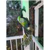 Image 3 : Garden Decor A