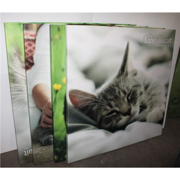 *BAILIFF SEIZURE* LOT OF 4 X-LARGE CAT THEME