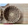Image 2 : Pine needle basket- 5"L