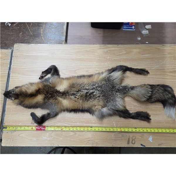 Fox fur pelt- 48"L