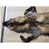 Image 2 : Fox fur pelt- 48"L