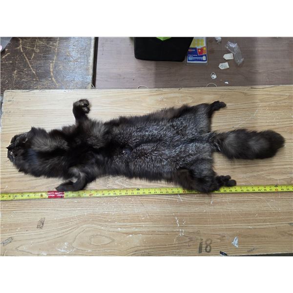 Animal pelt- 48"L
