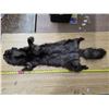 Image 1 : Animal pelt- 48"L