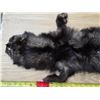 Image 3 : Animal pelt- 48"L