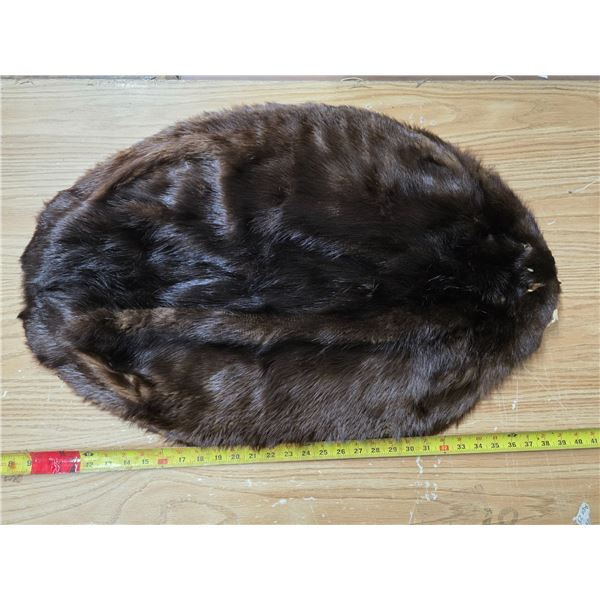 Beaver pelt- 48"L