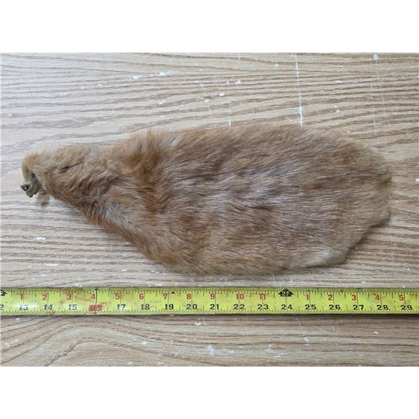 fur pelt-15"L